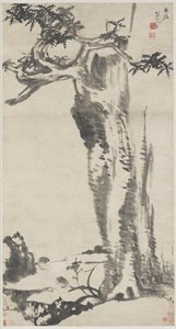 Cèdre, lis du jour et bergeronnettes